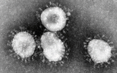 La Organización Mundial de la Salud establece las recomendaciones para el manejo de pacientes con potencial infección por coronavirus 2019-nCoV