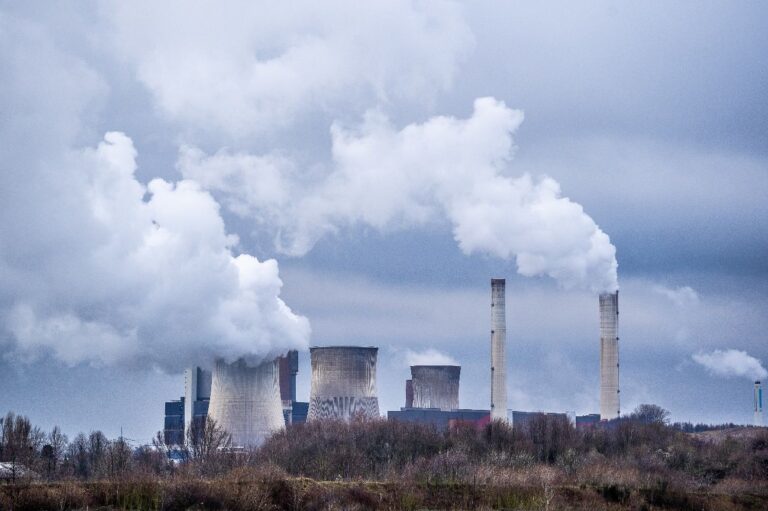 ¿Conoces el impacto en la reducción de emisiones de CO2 como fuente de vida?