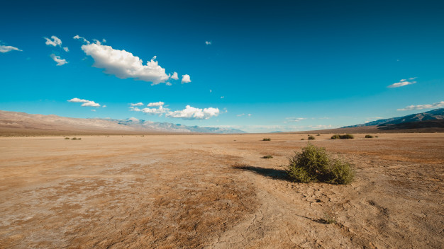 La desertificación y su impacto en el medioambiente