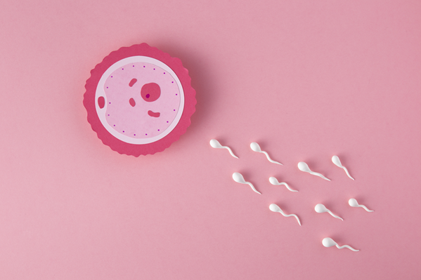 ¿Para qué sirve el magnesio en la fertilidad?