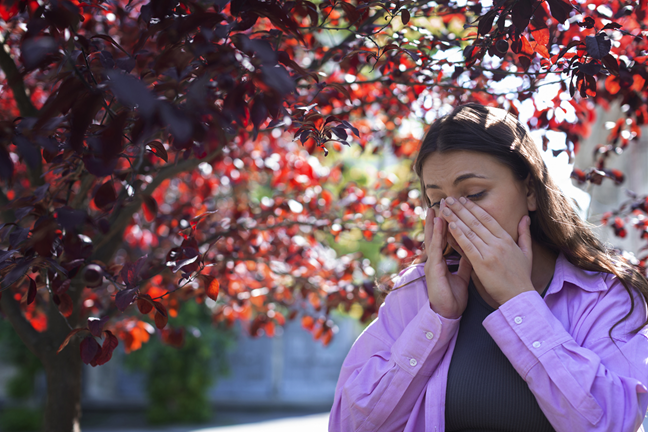 salud respiratoria y los cambios de clima