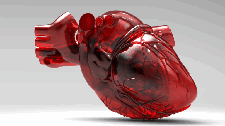 Día mundial del corazón