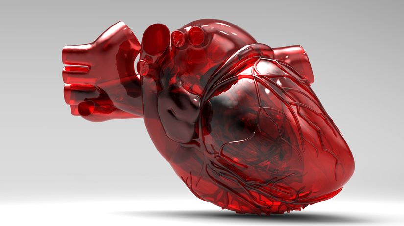 Día Mundial del Corazón: un compromiso con tu salud