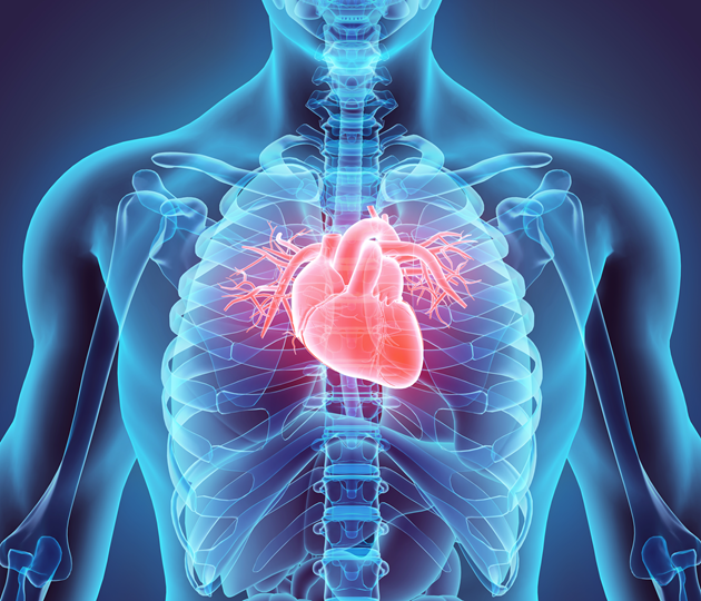 Enfermedad Cardiovascular Sacubitrilo y Valsartán Insuficiencia Cardíaca Laboratorios Farma Neblum