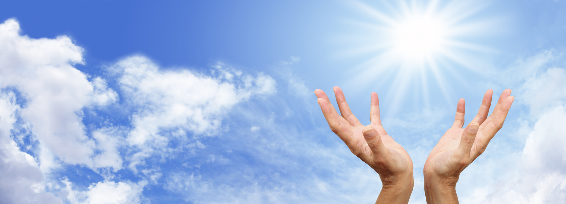 Vitamina D y sistema inmune